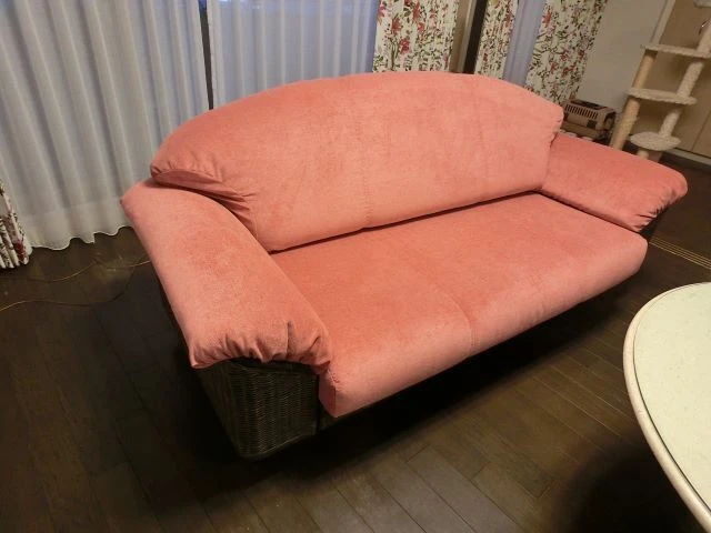 CIMG3633.JP